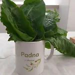 Goja Lejlighed Padna