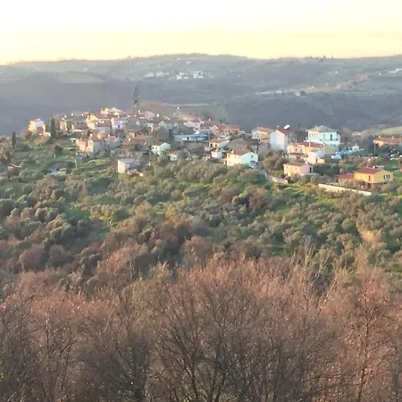 Goja * Padna