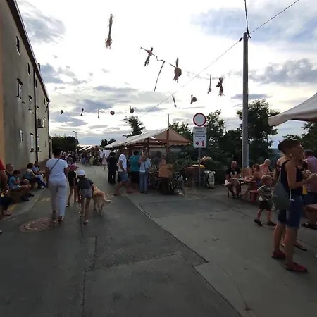 Goja Apartman Padna