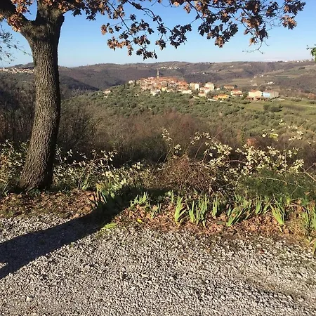 Goja * Padna