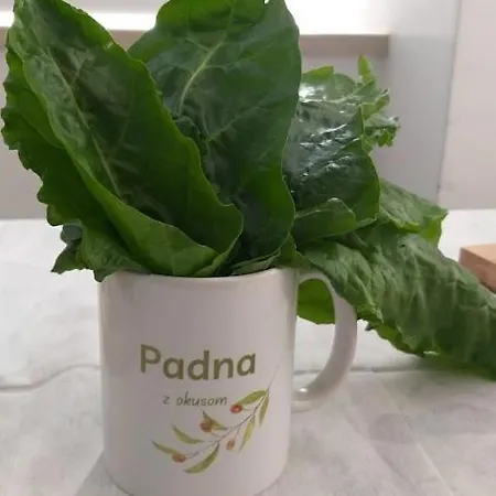 Goja Apartmán Padna