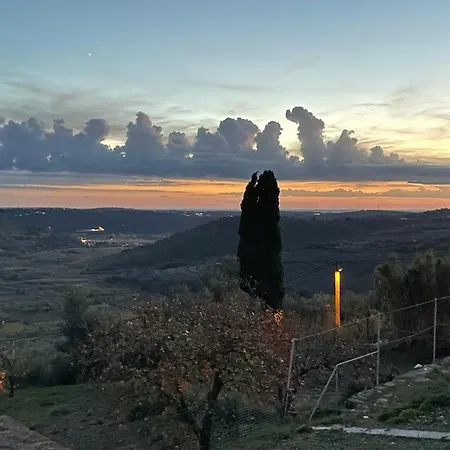 Goja