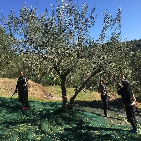 Goja Appartamento